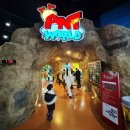 대명에너지 (2) | 홍천 대명 비발디파크 키즈카페 앤트월드