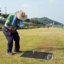 청양 6리 이미지