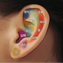 축산물자양직매장