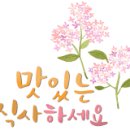 컴퓨레이터 이미지