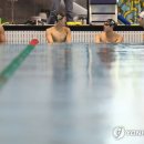 수영 이미지
