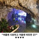 "눈 조금만 더 쌓이면 당장 가야할 곳"... 이번 겨울 꼭 가볼만한 케이블카 여행지 이미지