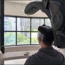 헤어디자인 후르 미사점