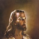 우리예수의원 이미지