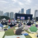 희노애락 다 경험한 2025 펜타포트 후기🎸