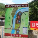 비둘기 펜션 이미지