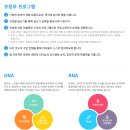 창의융합 트레이닝 브레인 사고력수학 | MSC 브레인 컨설팅 | MSC 논술 | 입학테스트 후기 |