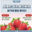 사남매농장 | [청주] 2026년도 청주딸기축제 문화제조창 딸기페스티벌 다녀온 후기!