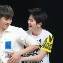 여행하는 나무 이미지