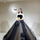 뚱이이모 | 청담 클라라웨딩 촬영드레스 셀렉 가봉 후기