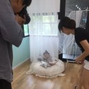 크림스튜디오 이미지