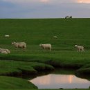 거니는집 이미지