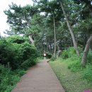 솔빛바다 이미지