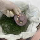 추석 월병 만들기 | 추석에만 즐기던 송편 이젠 세계인의 식탁으로 송편 만들기 클래스 후기