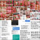 향동정육점