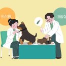 아라동물병원 이미지