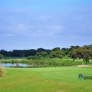 라온 | 제주도 대중제 골프장 요즘 잔디 좋은 제주 라온cc 예약 후기