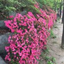 종합경기장 야외 화장실 이미지