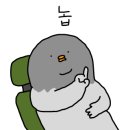 청담눈초롱안과동물병원 이미지