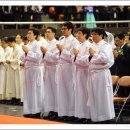 사랑의 날개 이미지