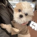 덕암로148번길,덕암로 이미지