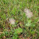 동우행정사합동사무소 이미지