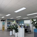 성산 태양광발전소 이미지