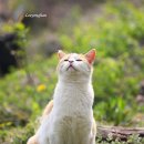 참치향 - 서산시 호수공원9로 76 | 참치향