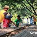 나무가 들려주는 환경이야기 이미지