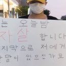 머스터드 이미지