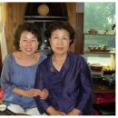 차우림 이미지