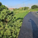 빌라 옆 보행자도로 이미지