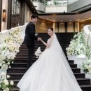 마르뜨포토그래피 | W3. 웨딩 본식스냅업체 고르기(김세웅포토그라피, 마르뜨, 비아잔떼) / 본식스냅 잘고르는법