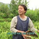 신선동-5 이미지