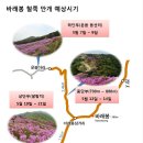 지리산 바래봉 철쭉 개화 현황(2013. 5. 7) 이미지