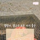 랑 글램핑 | [포천여행] 백운계곡글램핑, 가성비 최고 포천글램핑 후기