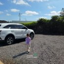 평대1986 이미지