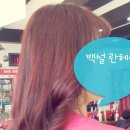 칼라헤어샾 이미지
