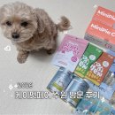 펫바비 | 2026 수원 케이펫페어 후기 쇼핑템 부스배치도 공유