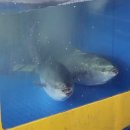 중곡역-32 | 중곡역 대방어 맛집 백일도 평일 웨이팅 후기