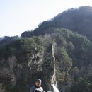 파샤 이미지
