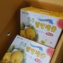 상주웰빙배즙 체험단 후기