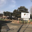 청대골 | 솔벗 : 해물육수가 일품! 쌀국수추천 원당맛집 솔직후기