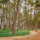 원평지마을회관 이미지