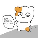 비전스트롤 이미지