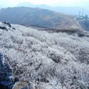 2024년 금화산악회 2월18일 정기산행 무등산,인왕봉,(57년만에개방) 이미지