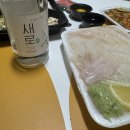 전농초밥 | 전농동횟집 바다왕활어회전농점 혼술 포장으로 맛본 회 찐후기