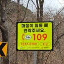 칠곡 헤럴드경제