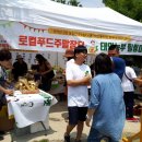 힐링마켓 이미지