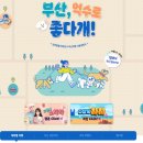 "댕댕이와 함께" 반려동물 동반 한국 여행 부산에서 첫 출시 이미지